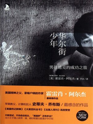 cover image of 华尔街少年